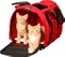 Pet Airline Approved Professional Tote Crate