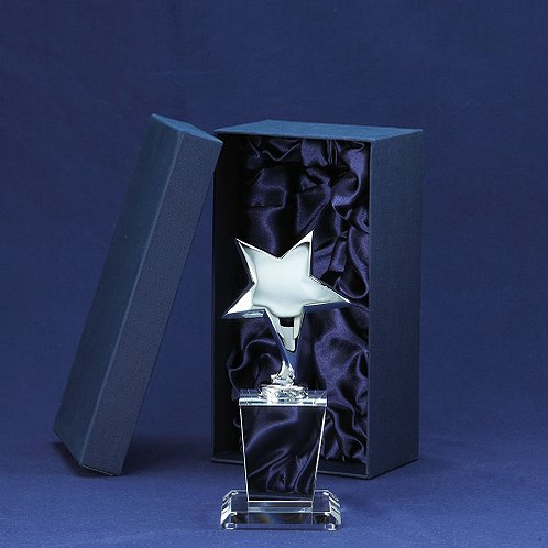 Hot Selling Silver Star Shining Star Trophy with Crystal Base