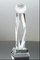 Optic Crystal Golf Award for Corporate Employee Recognition Trophy (#5756)