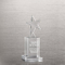 Rising Star Crystal Trophy (#76525)