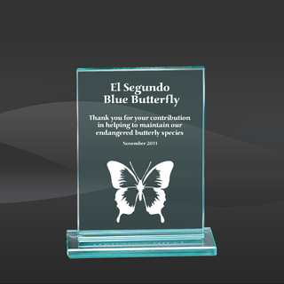 Standing Glass Ovation Award (D-GL513)