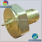 CNC Lathe Parts for High Strength Wheel Hub Bolt (BR17012)