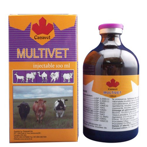 MULTIVET 100ML