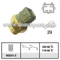 Thermo Switch