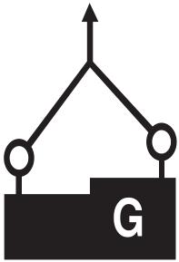 Anillo de elevaci&oacute;n giratorio G80 - Proveedor de China