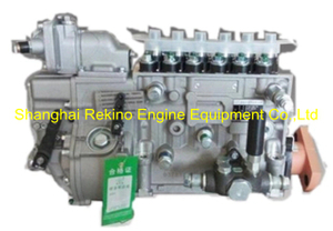 BP20044 612601080756 Longbeng fuel injection pump for Weichai WP10D238E201
