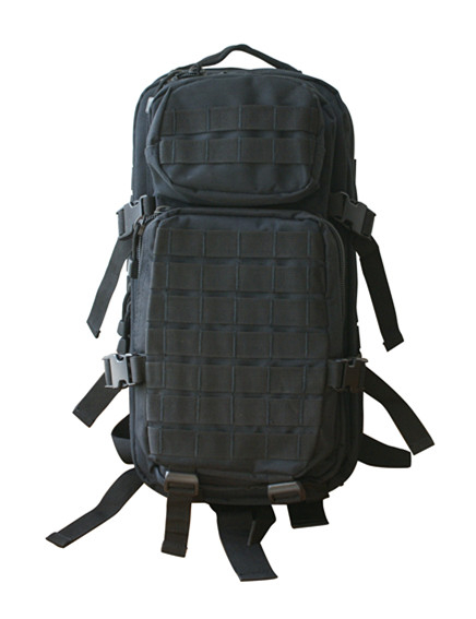 1548 Medium Assault Pack