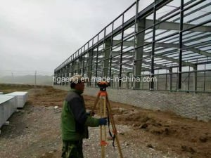 Construction multi de structure m&eacute;tallique d'envergure de ferme de poulet d'&eacute;preuve de rouille