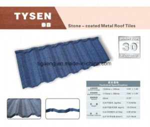 Constructeur enduit de tuile de toiture de pierre color&eacute;e espagnole de type