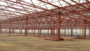 Stationnement lourd &agrave; extr&eacute;mit&eacute; &eacute;lev&eacute; de v&eacute;hicule de structure/supermarch&eacute;/centre commercial de m&eacute;moire/pour le Kenya