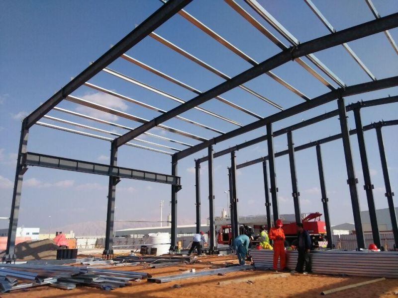 Multi Span Steel Structure Warehouse Steel Structure Workshop with Crane