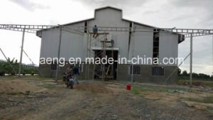 Plan empresarial galvanizado de la granja av&iacute;cola del marco en vertiente de las ovejas del maharashtra