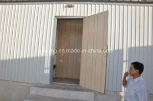 Casa prefabricada 2017 de las propiedades inmobiliarias de la construcci&oacute;n de Angola para la venta