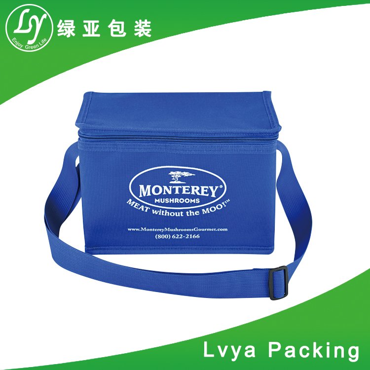 Customized logo printing insulated food delivery cooler bag