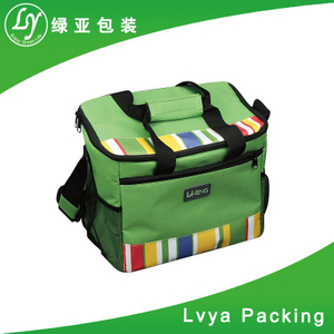 cooler bag/ high quality 600d cooler bag/ hot sale new style insulated promotion cooler bag