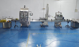 Hot joice bottling project