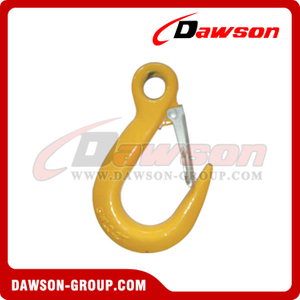 DS115 Alloy Eye Hook with Latch