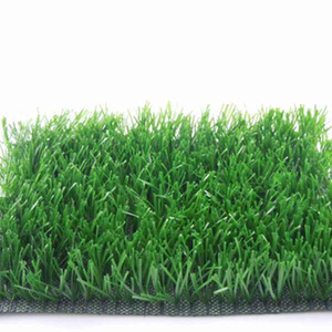 FIFA 2职业橄榄球人造草