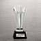 Premier Spotlight Crystal with Black Accent Base Trophy (#78723)