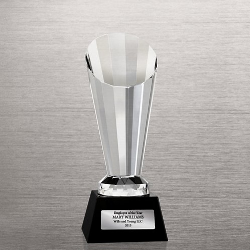 Premier Spotlight Crystal with Black Accent Base Trophy (#78723)