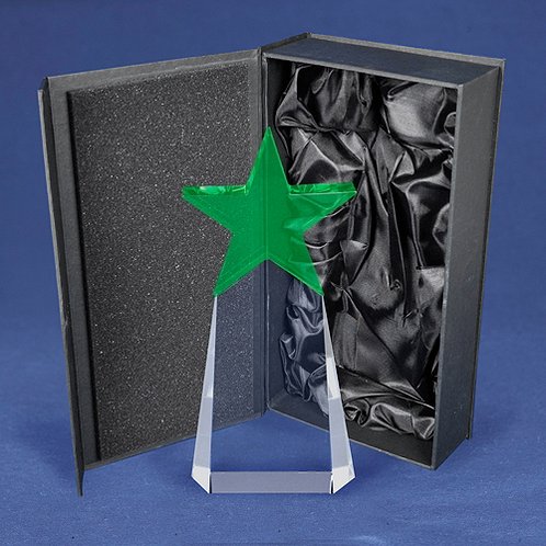 Emerald Star Pinnacle Crystal Trophy for Employee Recognition Event (#78216)
