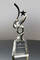 Star Trophies Stellar Chrome and Crystal Star Award