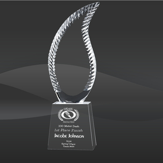 Crystal Iced Harmony Award (CIP-YJ264)