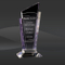 Crystal Purple Tesoro Award (T-FTS411)