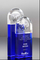Sapphire Global Vision Crystal Award (#5631, #5632)
