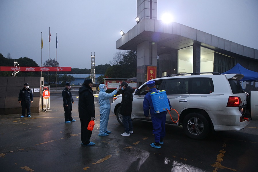 Greetols vs Coronavirus 2020