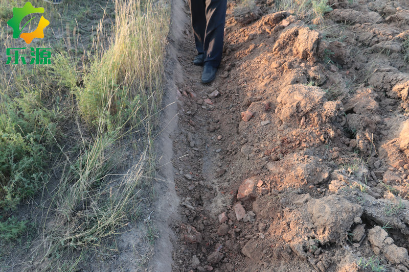 圓盤犁耕地效果