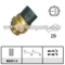 Thermo Switch