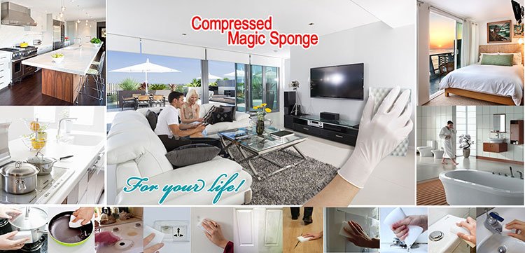 The Magic compressed Sponge  the best sponge for every type of kitchen cleaning job..jpg L'éponge comprimée magique la meilleure éponge pour chaque type de nettoyage job..jpg de cuisine
