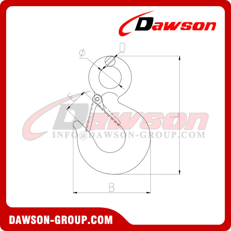 DS225 鍛造炭素鋼アイフック ラッチ付き