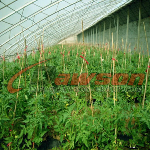 Сельскохозяйственный канат - Dawson Group Ltd. - Китайский завод