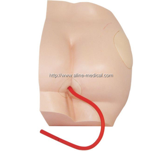 Buttock Injection Model