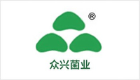 logo8