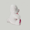 8inch White Valentine Bears with Red in Hand Valentines Gifts
