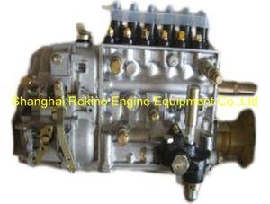 BP12S4 612601080579 Longbeng fuel injection pump for Weichai WD615