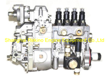 BP13B2 13034114 Longbeng fuel injection pump for Weichai WP4D66E200