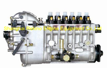 BP6009 617023040001 Longbeng fuel injection pump for Weichai X6170ZC620-4