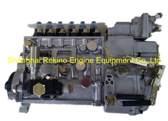 BP5248A 612600081179 Longbeng fuel injection pump for Weichai WD615