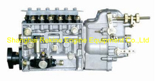 BP22L8Z 612700080009Z Longbeng fuel injection pump for Weichai WP13 generator engine 