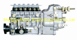 BP22L8Z 612700080009Z Longbeng fuel injection pump for Weichai WP13 generator engine 