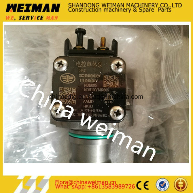 Fuel Injection Pump (unit pump) 4110001009024 Shandong Lingong