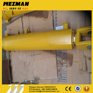 Sdlg LG936L Wheel Loader Spare Parts Lifting Cylinder Hsgf-125*70*771-1240 4120000867