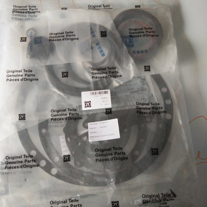 4wg 200 Repair Kit for Zf Transmission/Gearbox