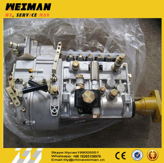 Sdlg Loader Parts Weichai Power W615D BHT6p120r Parts Fuel Injection Pump 612601080249 4110000556004