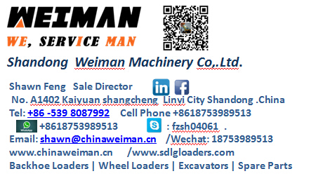 Unit Injection Pump Ndb008 4110001007067 for Sdlg Payloader