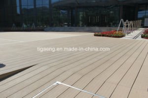 Plancher ext&eacute;rieur &agrave; extr&eacute;mit&eacute; &eacute;lev&eacute; d'Eco WPC/type en bois Decking compos&eacute; de PE